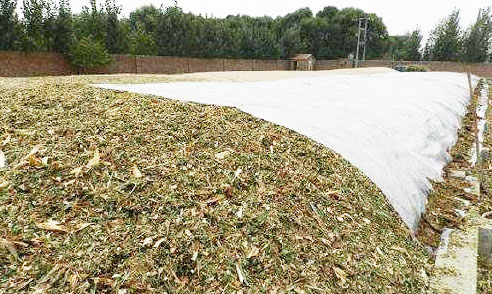 玉米秸稈發酵時為何要添加秸稈青貯發酵劑