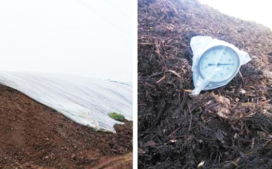 豬糞堆肥發(fā)酵技術(shù)要點(diǎn)