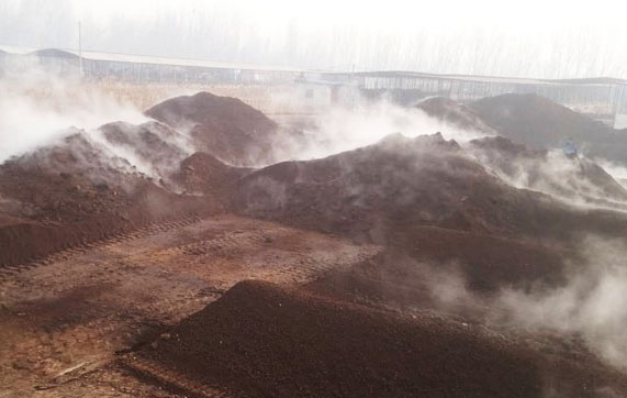 牛糞發酵過程分為哪幾個階段？