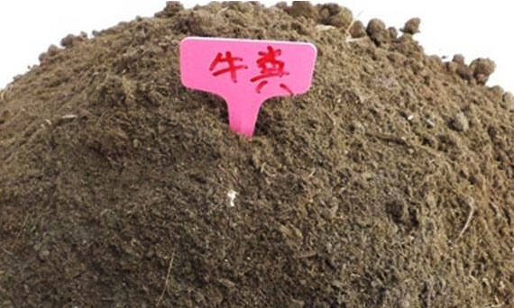 牛糞發酵過程分為哪幾個階段？