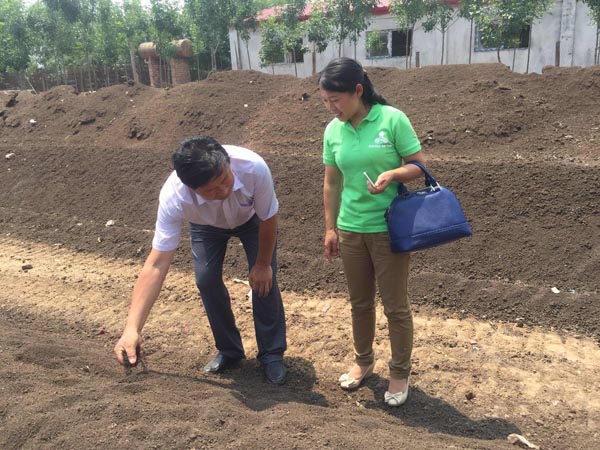 豬糞發酵過程分為哪幾個階段？