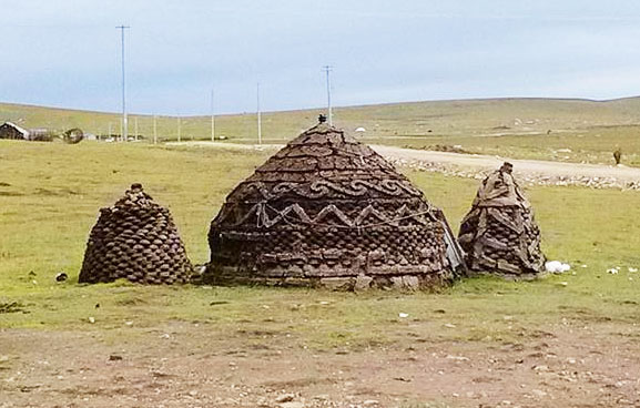 牛糞發酵有機肥有哪些用途