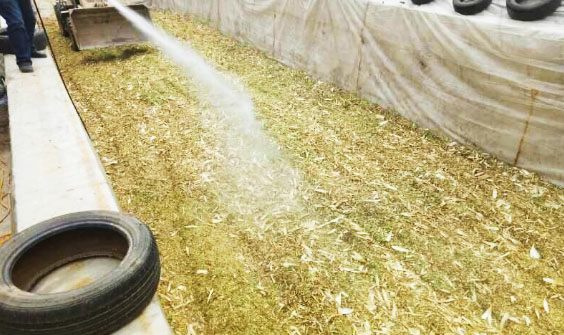 玉米秸稈能發(fā)酵做飼料嗎？