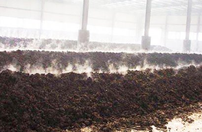 有機肥發(fā)酵劑你真的了解嗎？