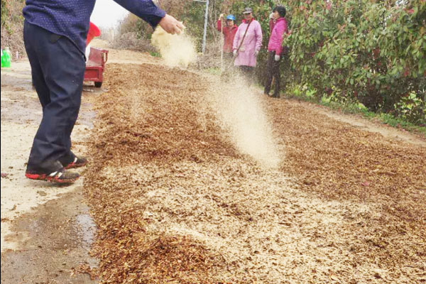 有機肥發酵劑種類如何選擇？