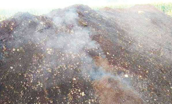 利用腐熟劑發(fā)酵處理農(nóng)業(yè)廢棄物的方法