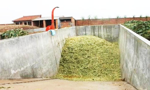 秸稈堆肥發酵具體有哪些作用呢？