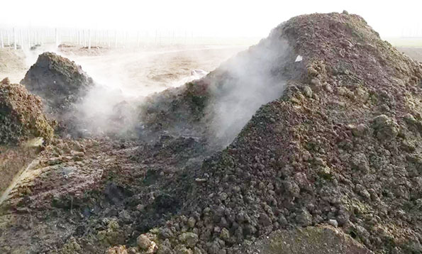 枯草芽孢桿菌有哪些功效？