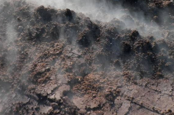 干雞糞用做肥料時有哪些處理方法