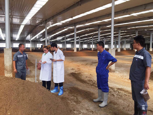 利用有機肥發(fā)酵劑發(fā)酵堆肥的方法詳解