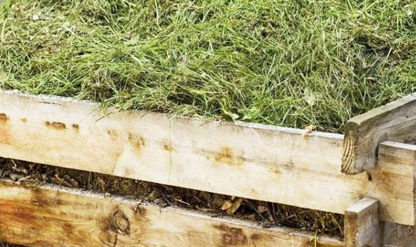 自制堆肥發酵中有哪些常見錯誤