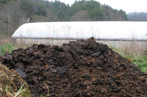 牛糞如何發(fā)酵腐熟？