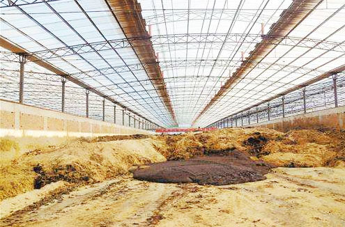 最簡單的牛糞腐熟方法