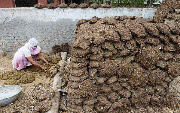 牛糞發(fā)酵的幾種方法和用途