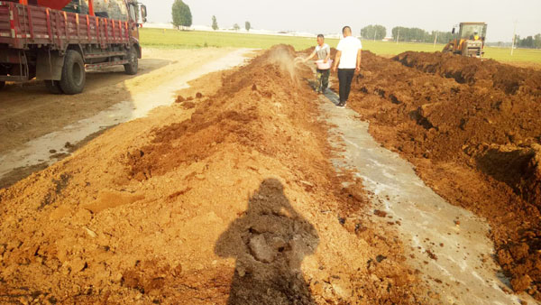 未經發酵處理的牛糞有哪些壞處