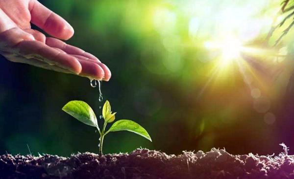 牛糞堆肥發酵的操作方法