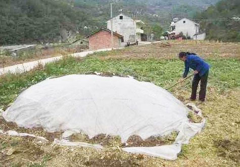 傳統(tǒng)牛糞發(fā)酵方法