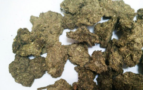 冬夏季節(jié)牛糞發(fā)酵制成有機(jī)肥的方法與好處