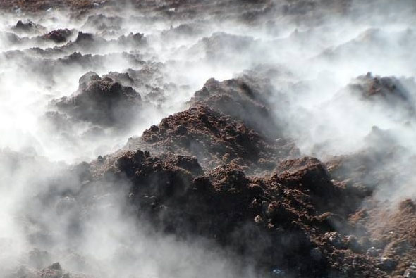 牛糞堆肥發(fā)酵方法與注意事項(xiàng)