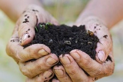 牛糞有機(jī)肥發(fā)酵分為幾個(gè)過程