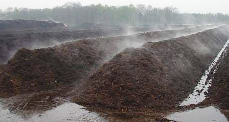 如何發酵豬糞做有機肥