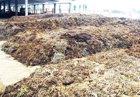 秸稈有機肥發酵有哪些方式