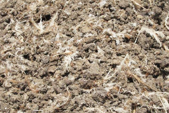 自然晾曬干燥處理法