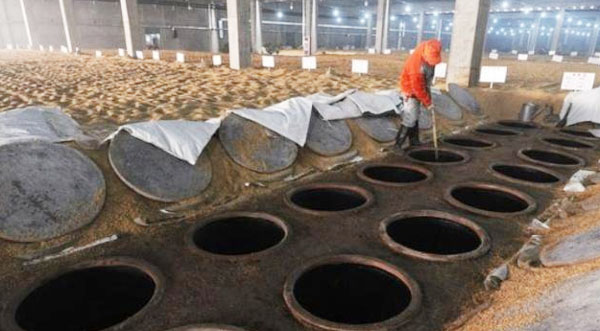 沼氣厭氧發(fā)酵法