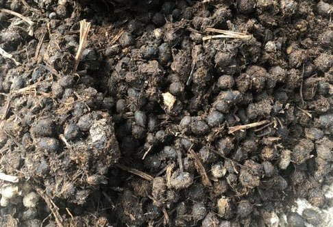 發(fā)酵后的羊糞有機(jī)肥有哪些優(yōu)點(diǎn)？