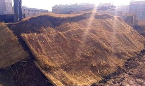 有機肥發酵方法哪個好，如何選擇？