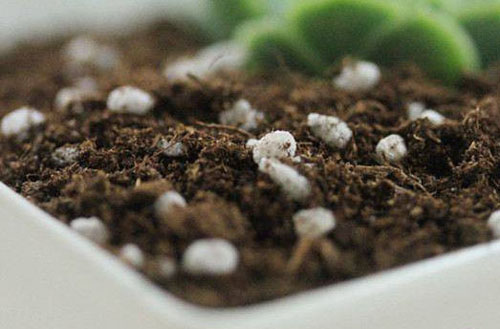 使用雞糞發(fā)酵劑能否快速發(fā)酵雞糞？