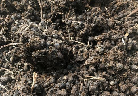 羊糞發(fā)酵制作有機(jī)肥需要多長時(shí)間？