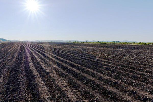 雞糞發酵腐熟的幾種方法與必要性