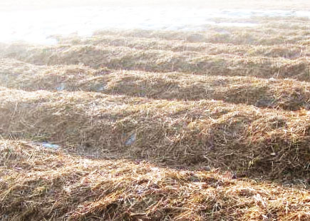 秸稈發酵過程中需要注意哪些？