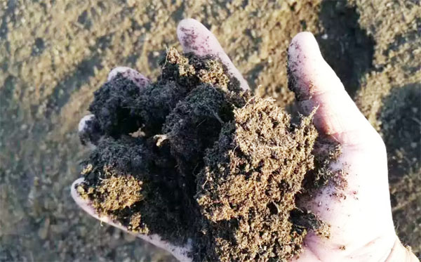 如何能提高雞糞有機肥的發酵效率？