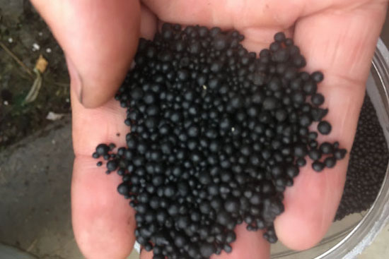 雞糞的發(fā)酵處理方法