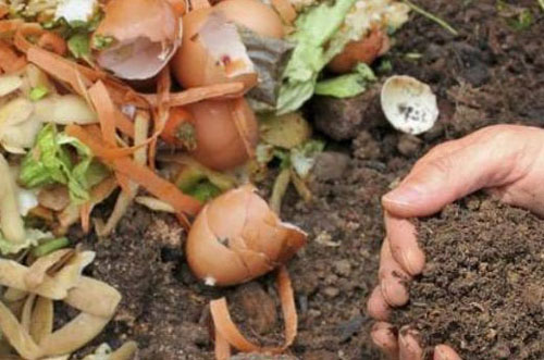 養(yǎng)花人發(fā)酵做有機肥的方法有哪些？