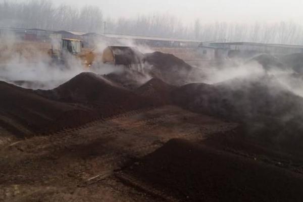 羊糞發酵需要多久