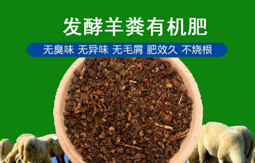 羊糞究竟怎么用才更安全