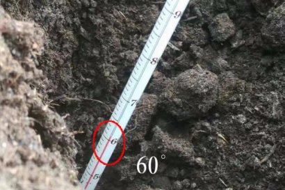 羊糞堆肥多長時(shí)間腐熟?