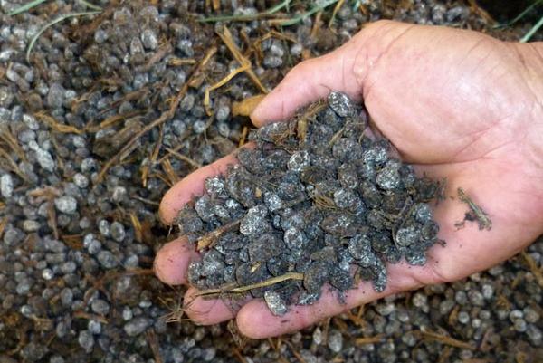 羊糞多少錢(qián)一噸