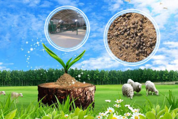 使用羊糞有機肥真實反饋