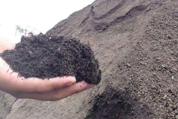 羊糞生產的有機肥成本高嗎