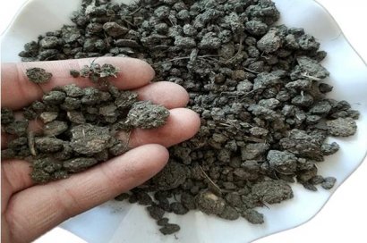 少量羊糞的發(fā)酵方法？