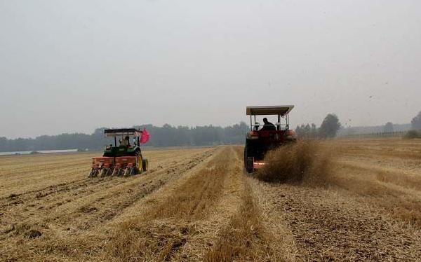 秸稈肥如何施用