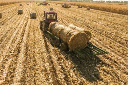 2019年秸稈利用補(bǔ)貼能補(bǔ)多少錢？