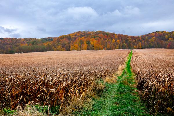 秸稈做成肥料怎么用于農作物
