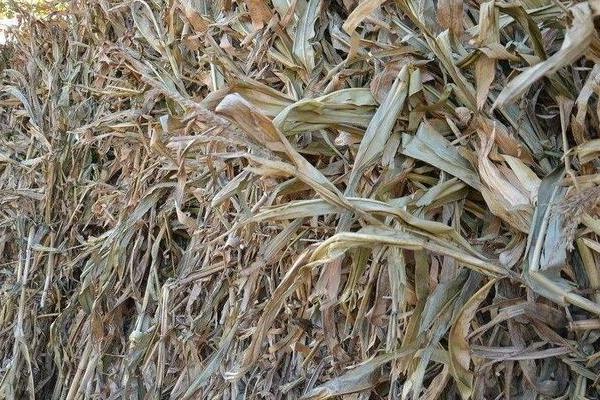 秸稈沼氣發(fā)酵原料預(yù)處理