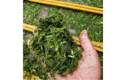 秸稈飼料有什么特點？