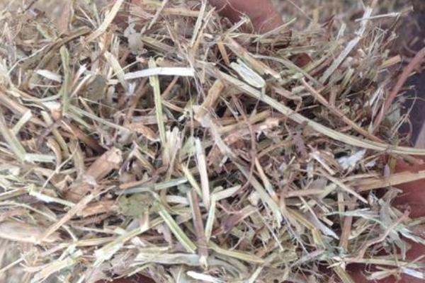 玉米秸稈草粉飼料怎么加工